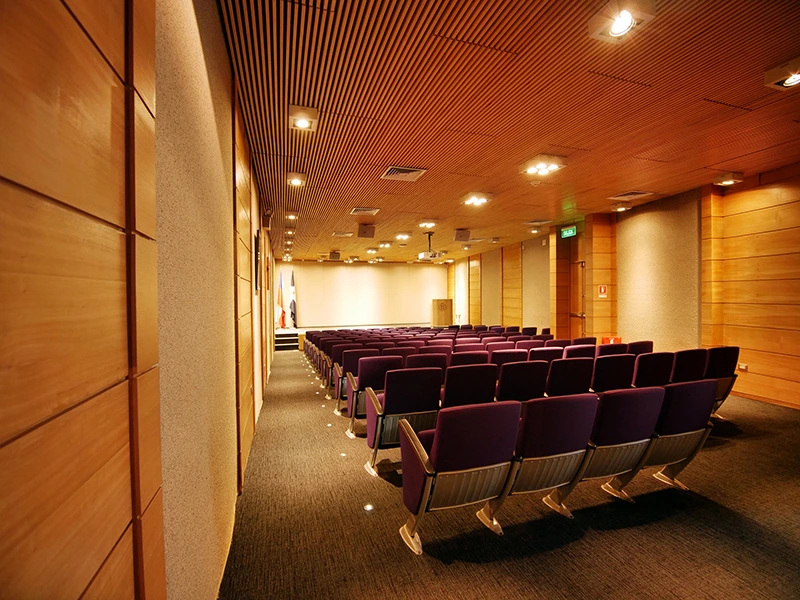 Auditorio Fernando Rosas — vista 3